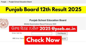 alt Punjab Board 12th Result 2025