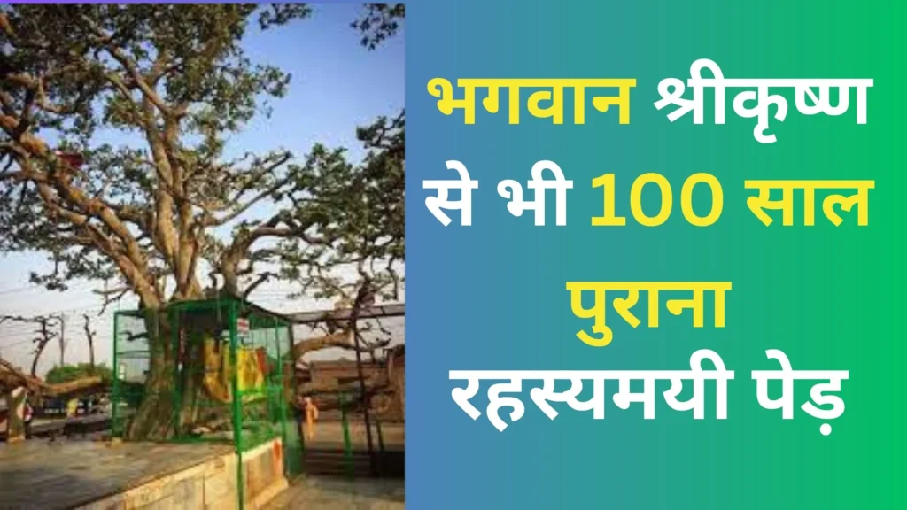 Mystery of Vrindavan