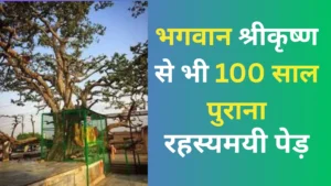 Mystery of Vrindavan