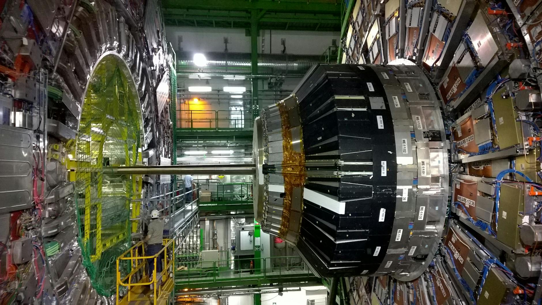 muon particle physics anomaly