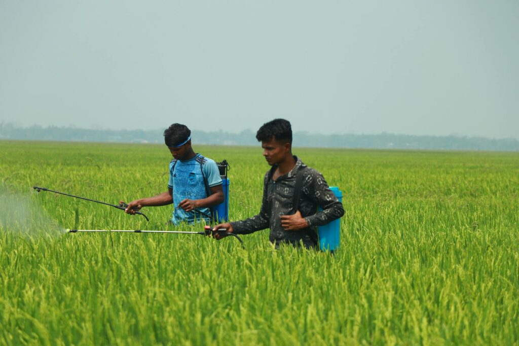 pesticide brain damage