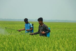 pesticide brain damage