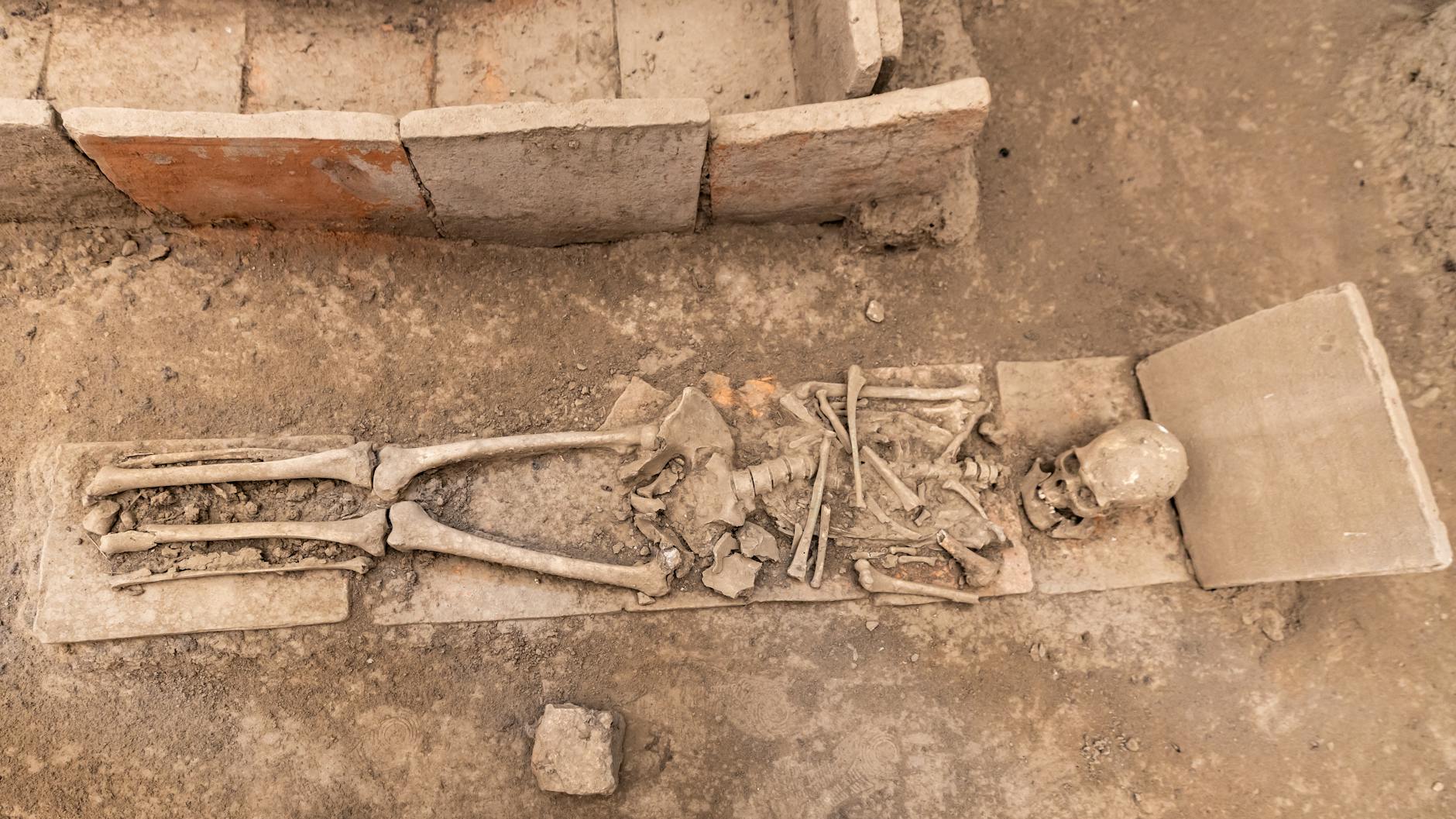 ancient plague pandemic history ancient plague pandemic history