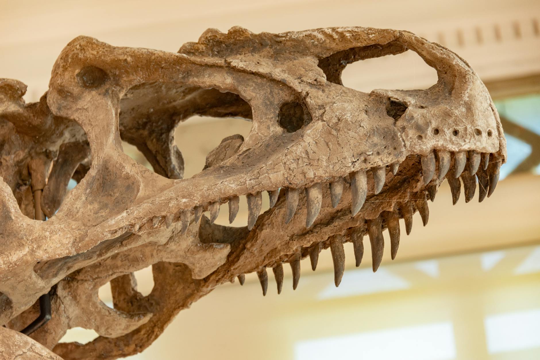 de-extinction dinosaurs de-extinction dinosaurs